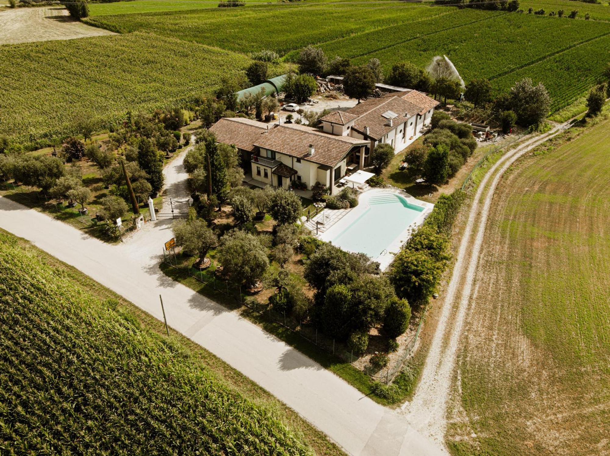 Agriturismo" Il Glicine Bianco" Monzambano Zewnętrze zdjęcie